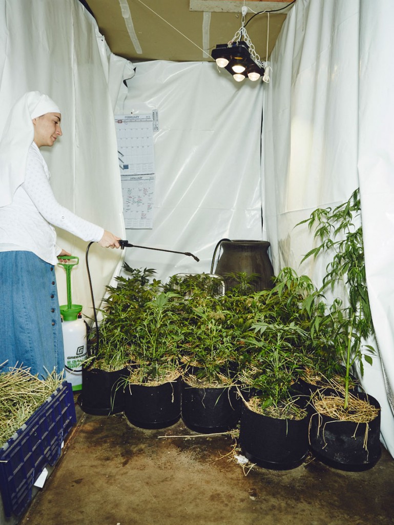 nuns-grow-marjuana-sisters-of-the-valley-shaughn-crawford-john-dubois-23