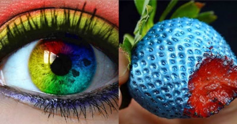 Video Demonstrates How Color Blind People See the world - Art-Sheep