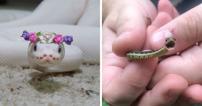 Baby snake tiny 20 Cute