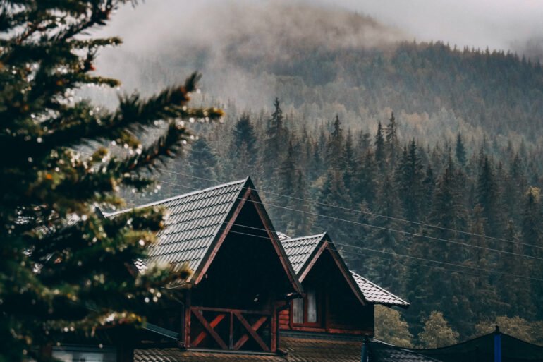 How Mist, Clouds, and Weather Shape Mountain Vacations art-sheep.com