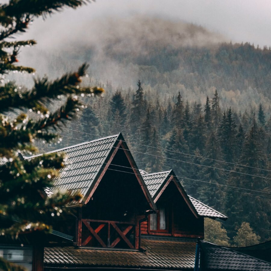 How Mist, Clouds, and Weather Shape Mountain Vacations art-sheep.com