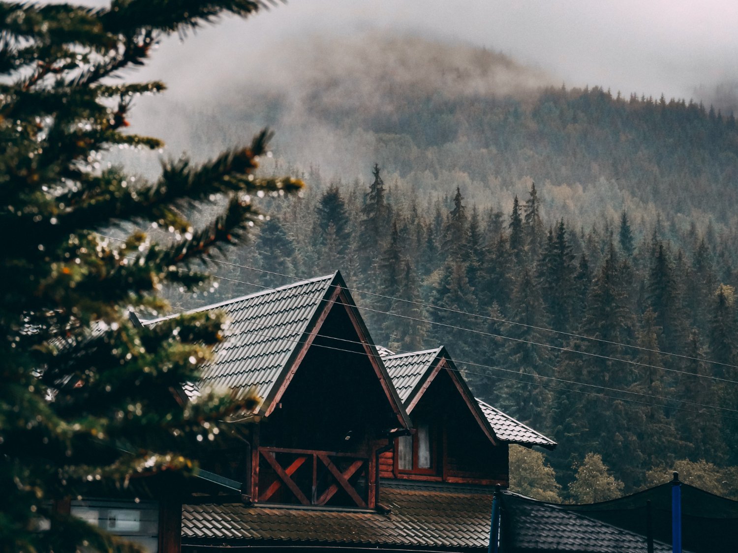 How Mist, Clouds, and Weather Shape Mountain Vacations art-sheep.com