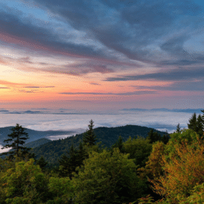 An Adventure Lover’s Guide to the Smoky Mountains art-sheep.com