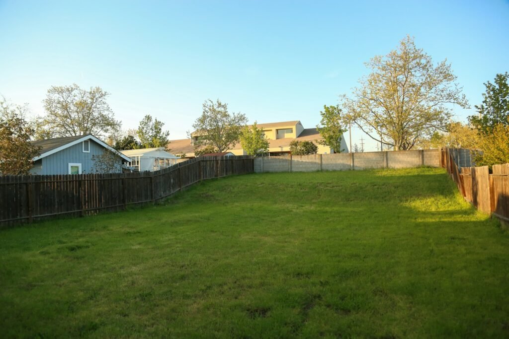 Transforming a Sloped Yard into a Relaxing Outdoor Escape art-sheep