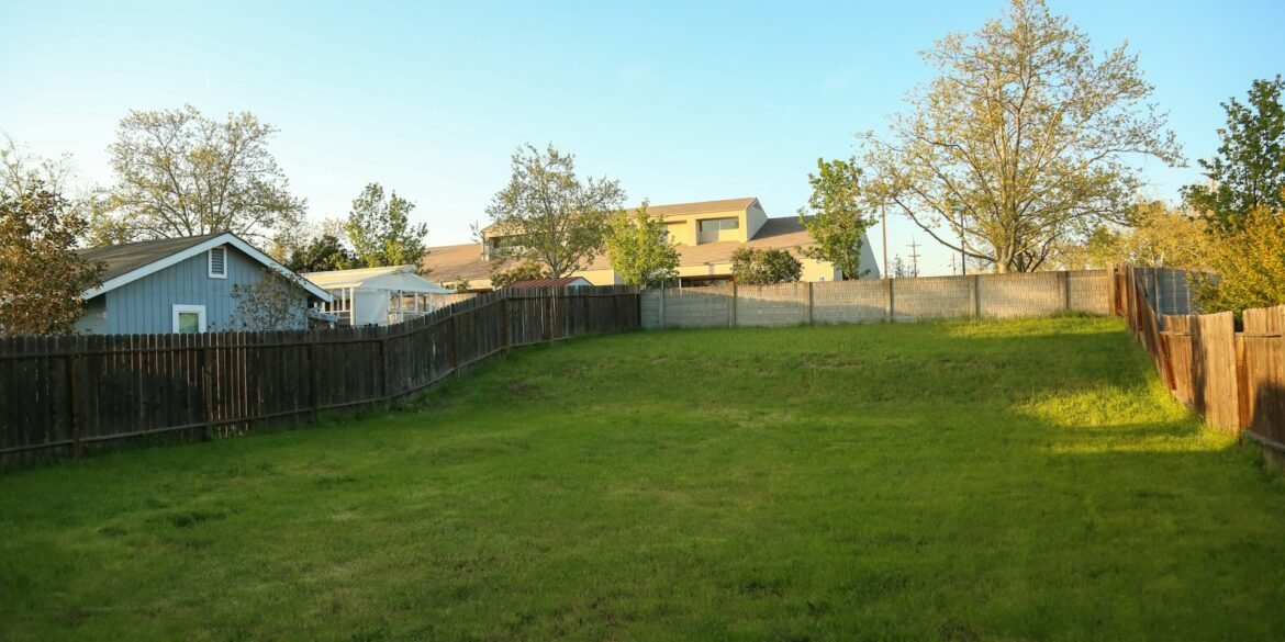 Transforming a Sloped Yard into a Relaxing Outdoor Escape art-sheep