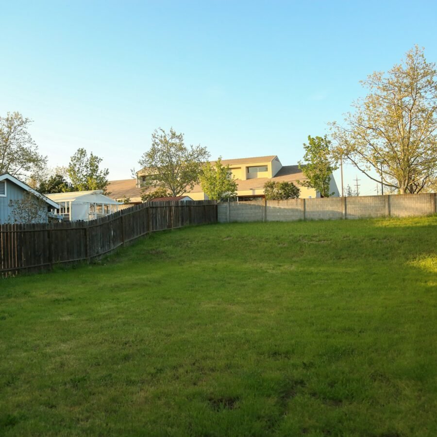Transforming a Sloped Yard into a Relaxing Outdoor Escape art-sheep