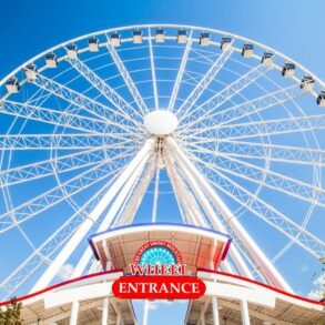 Why Kids Love Coming Back to Pigeon Forge Year After Year art-sheep.com