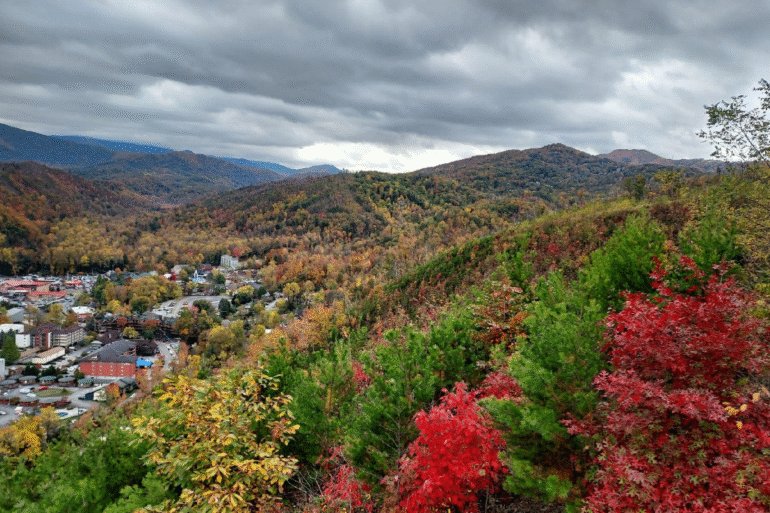 A First-Timer’s Guide to Exploring Gatlinburg With Kids art-sheep.com