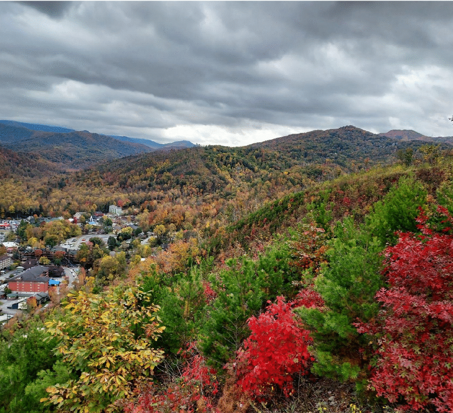 A First-Timer’s Guide to Exploring Gatlinburg With Kids art-sheep.com