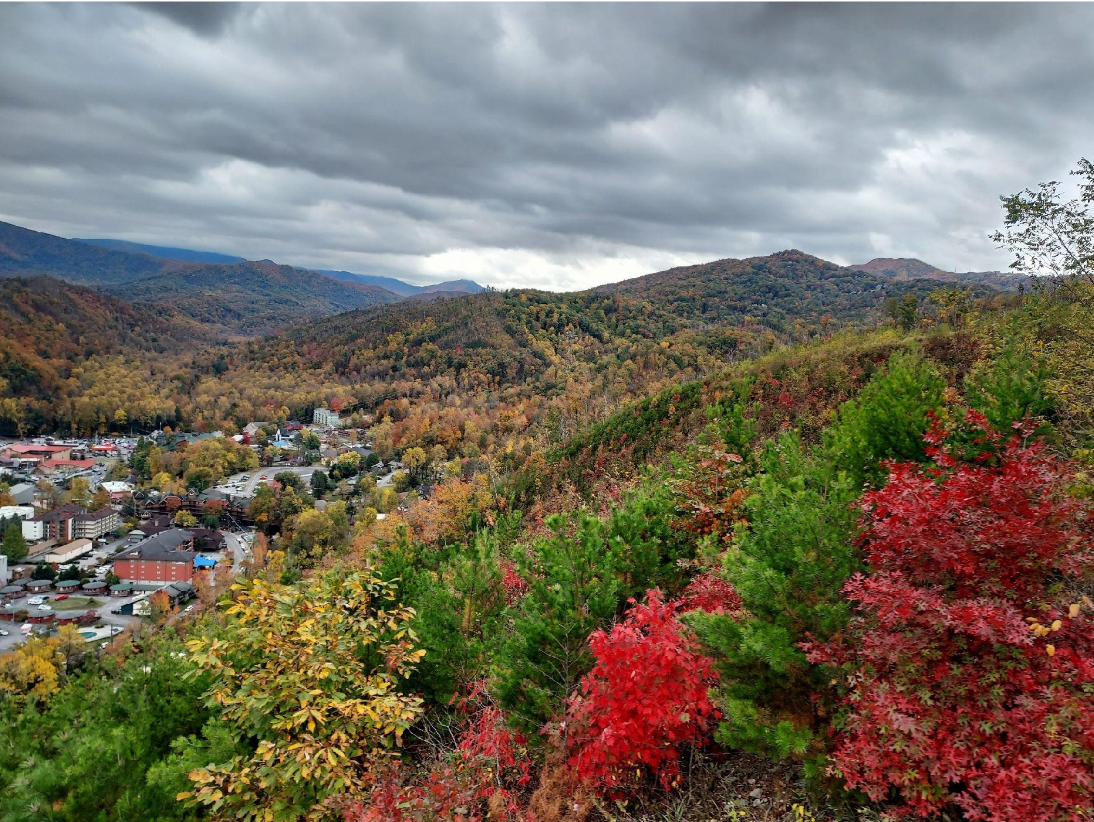 A First-Timer’s Guide to Exploring Gatlinburg With Kids art-sheep.com