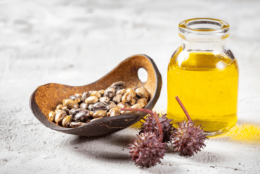 Castor Oil for Digestive Wellness What You Should Know art-sheep.com