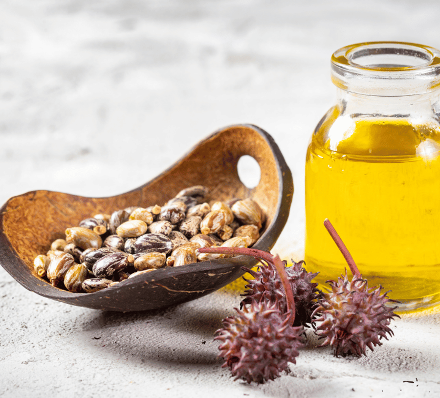 Castor Oil for Digestive Wellness What You Should Know art-sheep.com