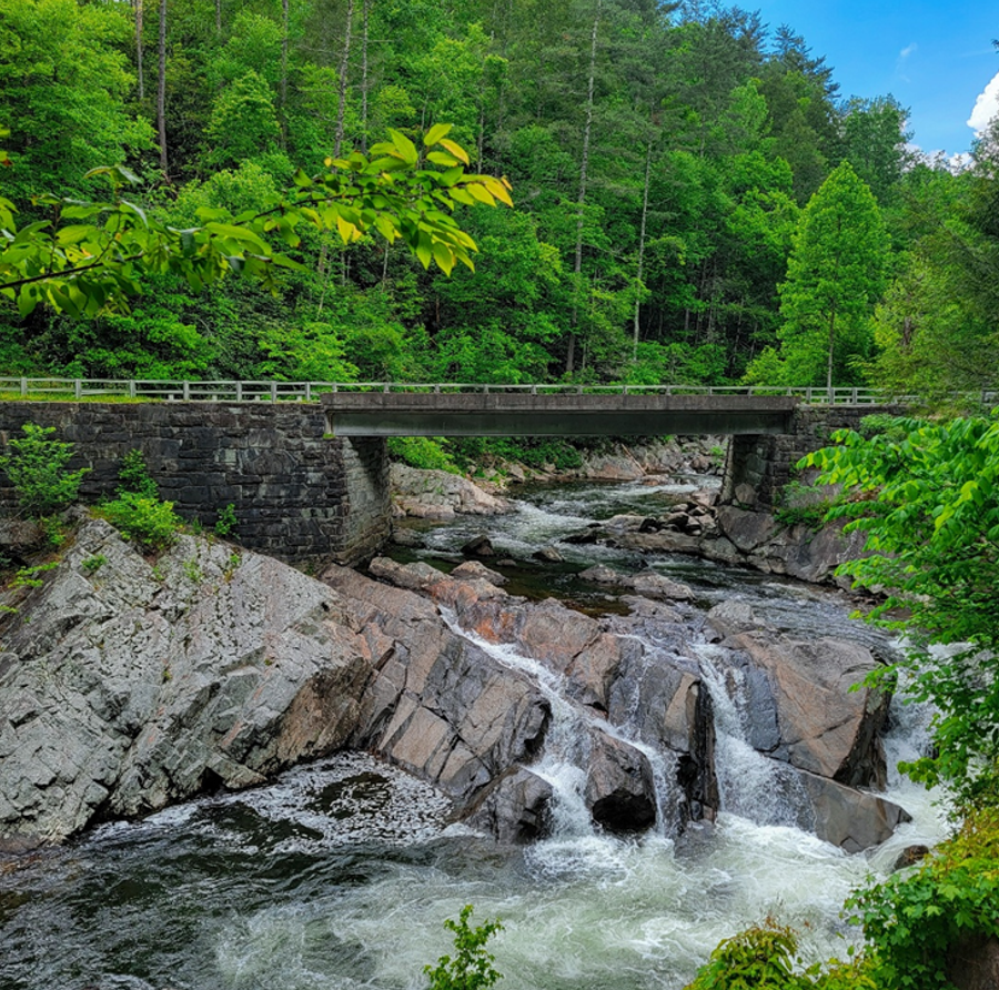 Travel Check What to Plan Before Your Next Getaway art-sheep