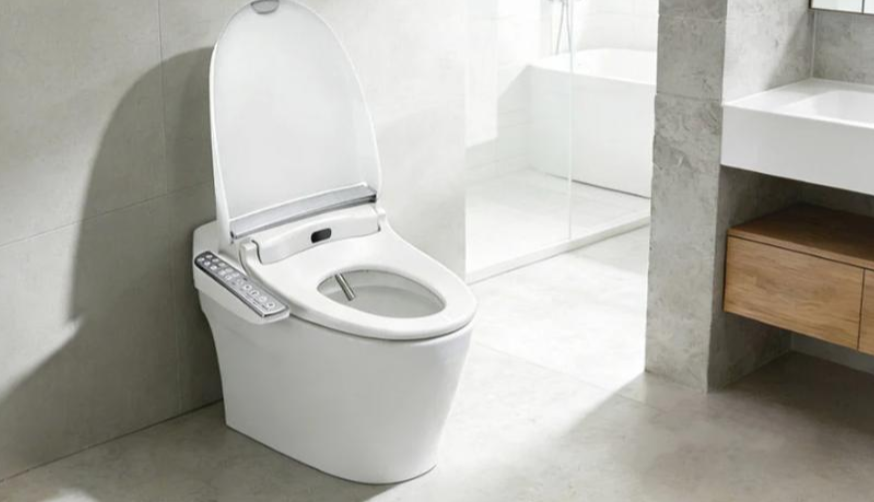 Complete Bidet Buying Guide for Homeowners art-sheep.com