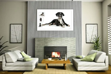 Cozy modern living room with fireplace.