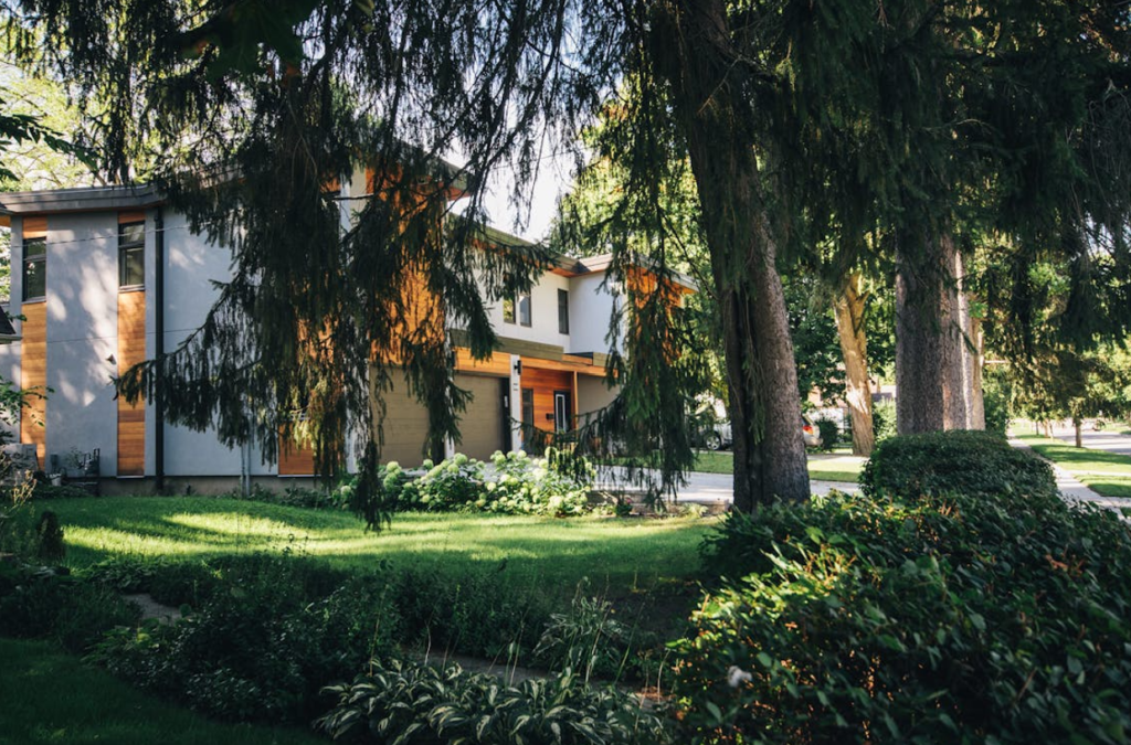 Full-Scale Remodels That Turn Houses Into Artistic Statements art-sheep.com1