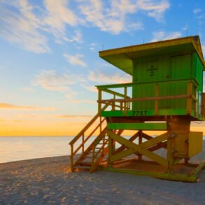 How a Dispensary Supports Personalized Care in Fort Myers art-sheep.com