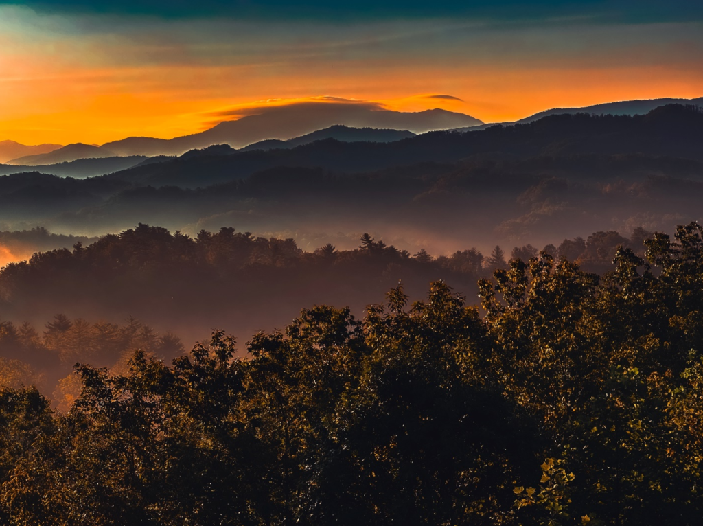 Luxury Travel on A Budget - The Ultimate Guide for 2026 art-sheep.com