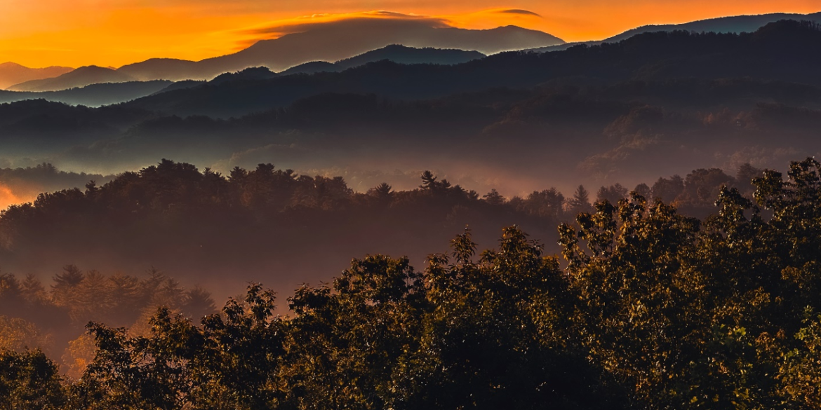 Luxury Travel on A Budget - The Ultimate Guide for 2026 art-sheep.com