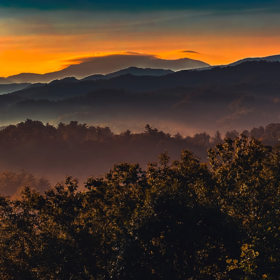 Luxury Travel on A Budget - The Ultimate Guide for 2026 art-sheep.com