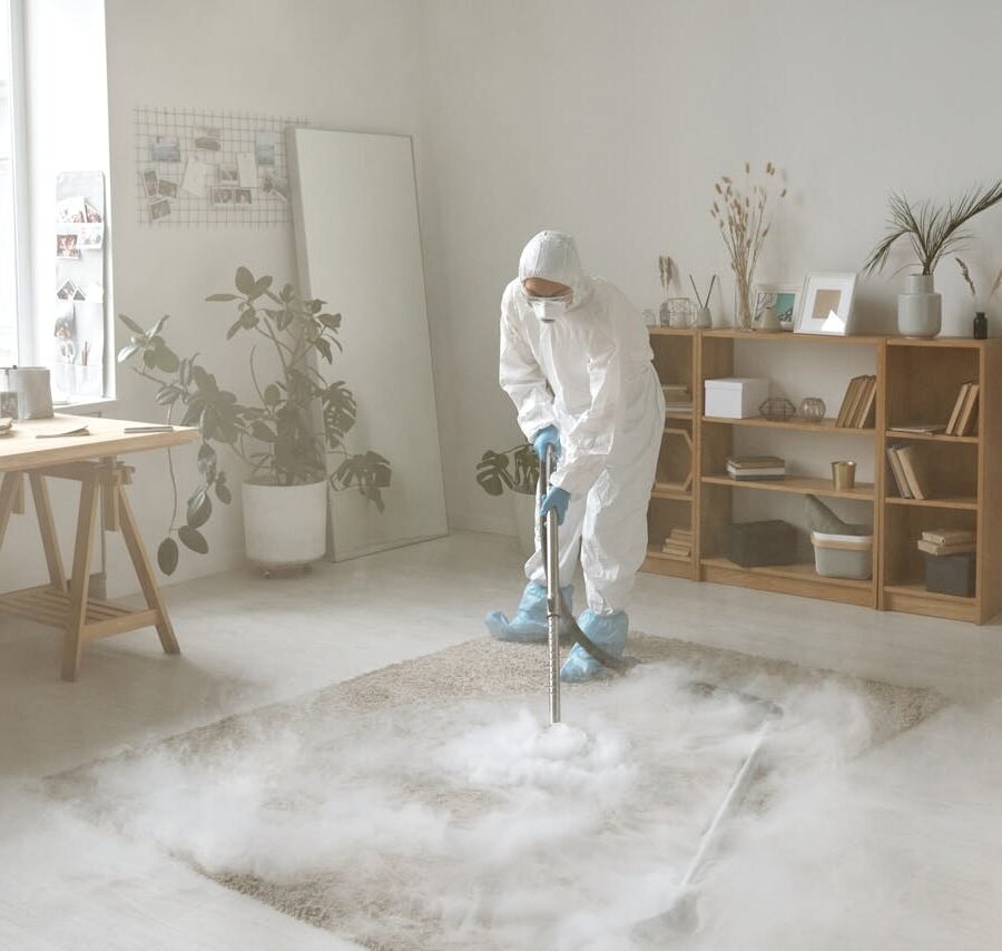 Smart, Eco-Friendly Pest Solutions for Modern Homes art-sheep.com