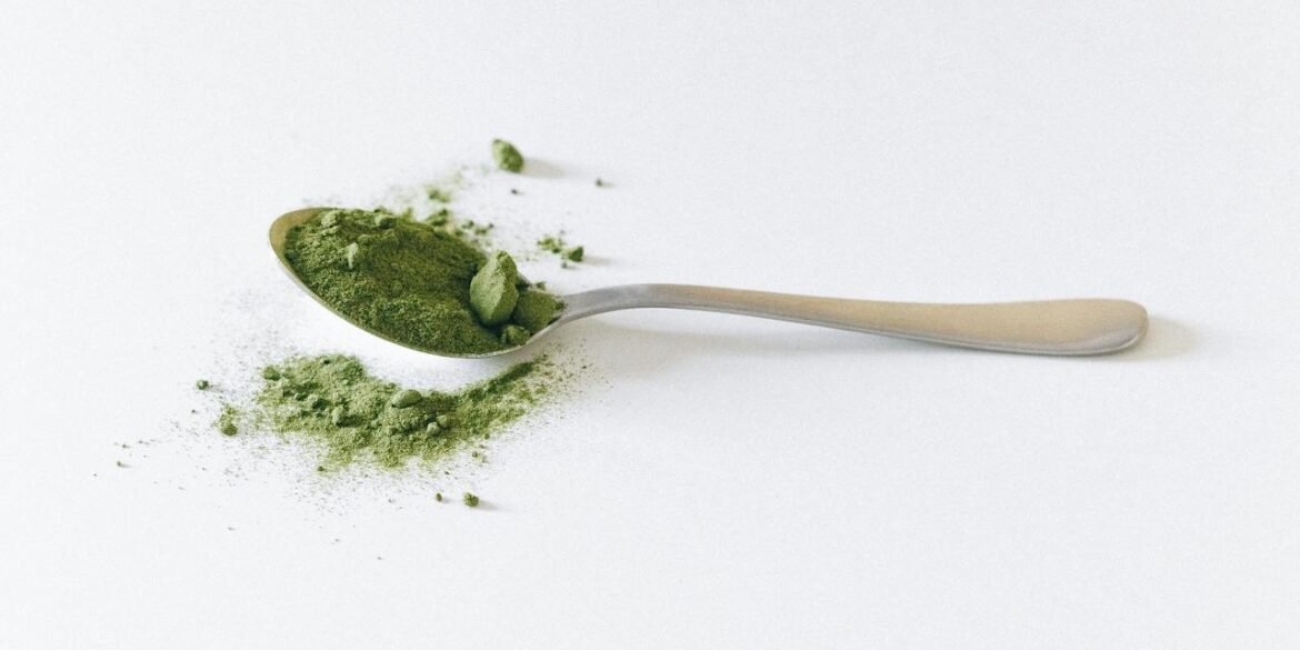 art-sheep.com art and culture