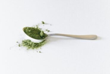 art-sheep.com art and culture