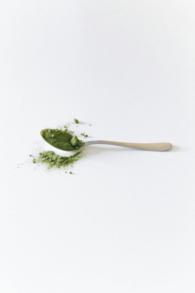 art-sheep.com art and culture