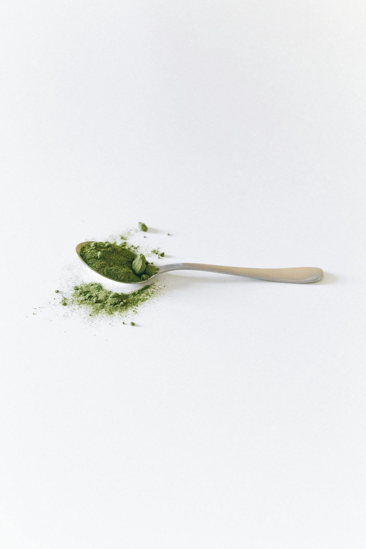 art-sheep.com art and culture