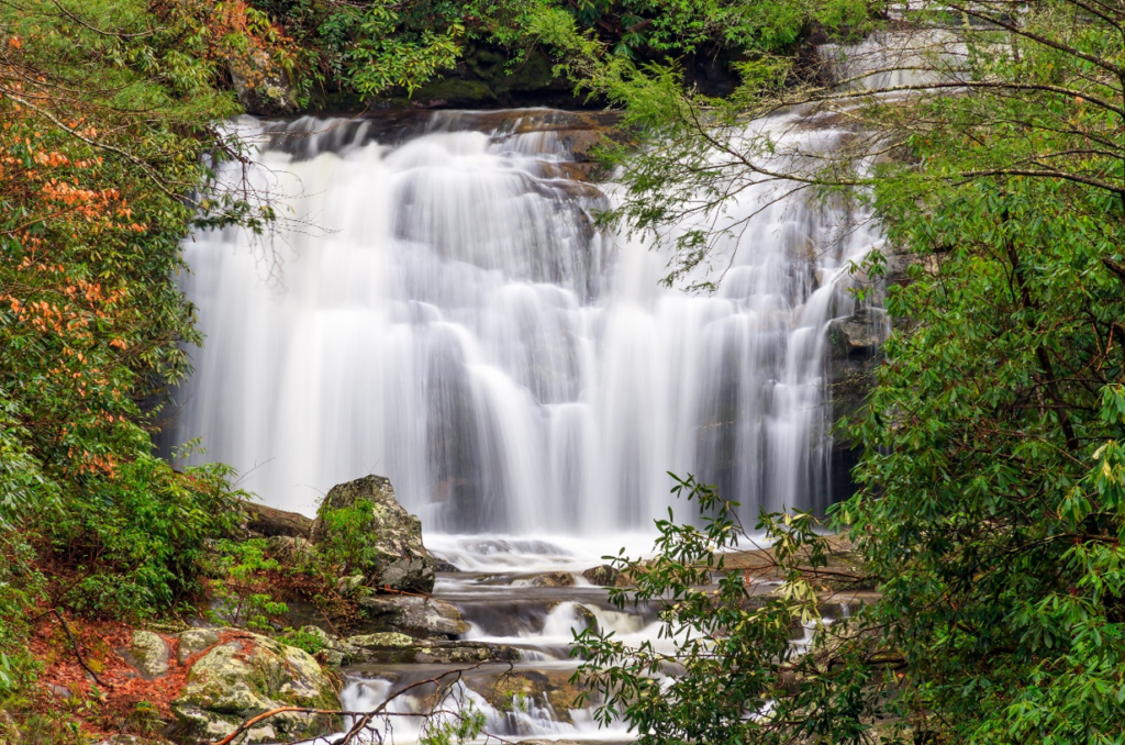 Camping with Kids - Tips for a Fun and Stress-Free Adventure art-sheep.com