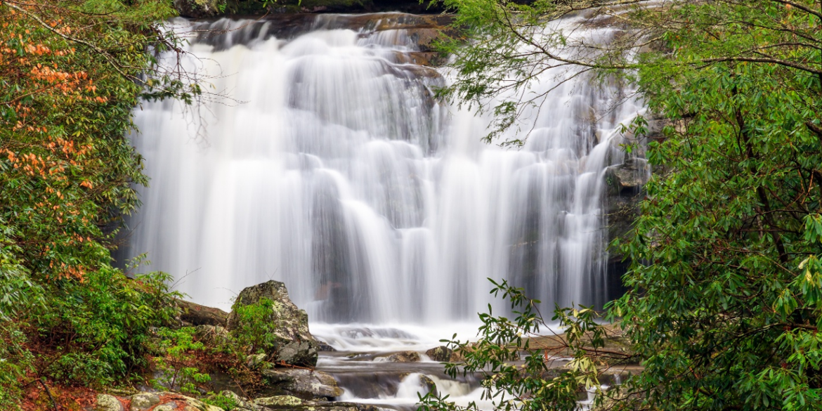 Camping with Kids - Tips for a Fun and Stress-Free Adventure art-sheep.com