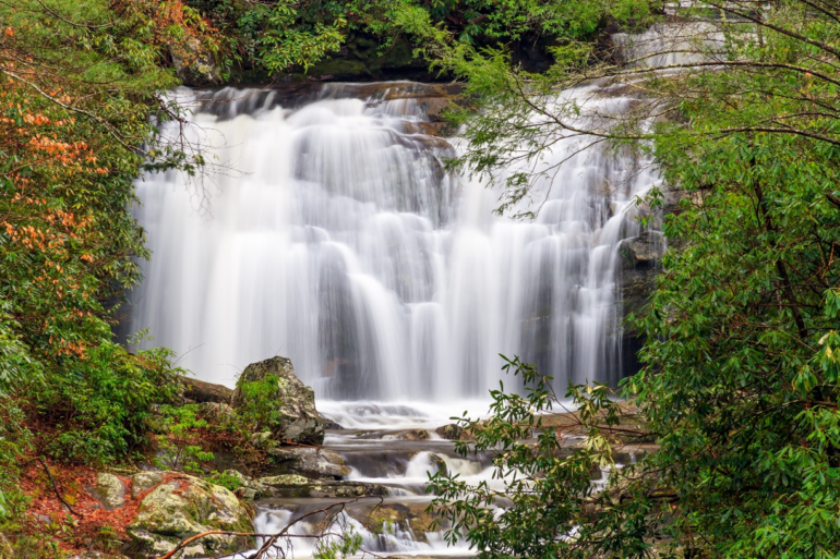 Camping with Kids - Tips for a Fun and Stress-Free Adventure art-sheep.com