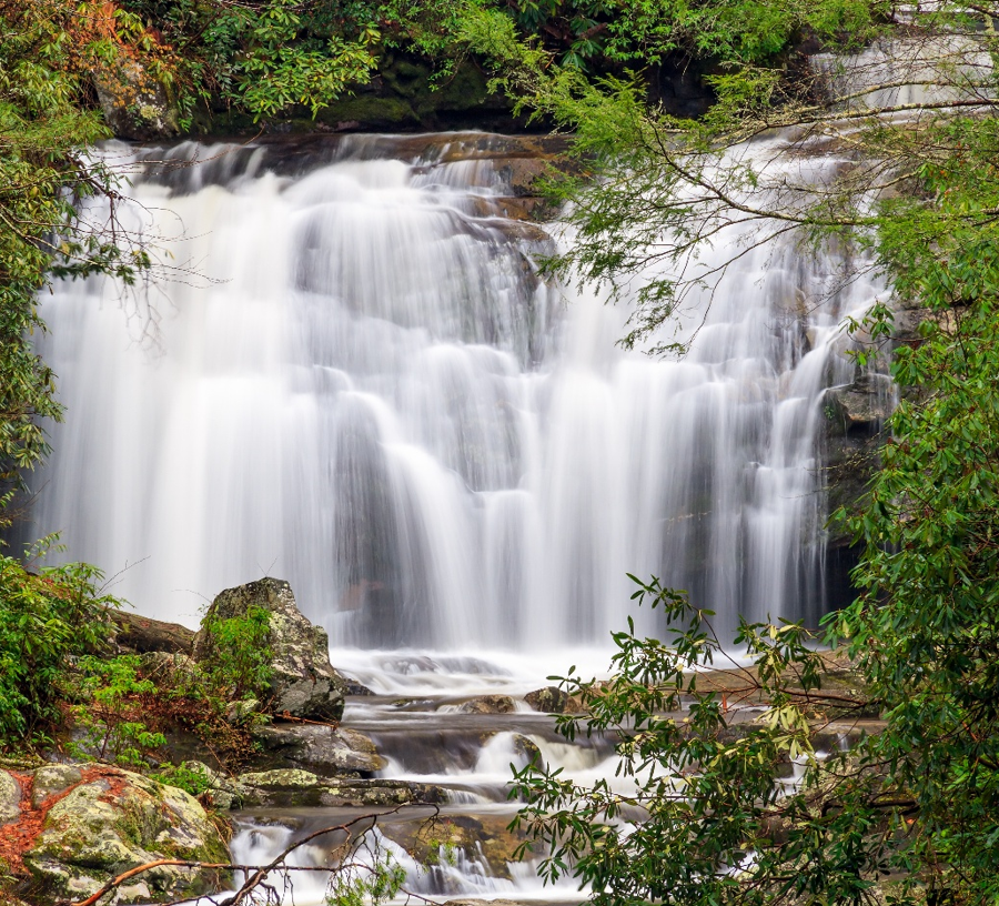 Camping with Kids - Tips for a Fun and Stress-Free Adventure art-sheep.com