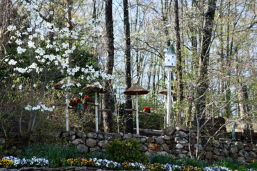 Creating Unforgettable Family Memories Through Thoughtful Travel Planning art-sheep.com