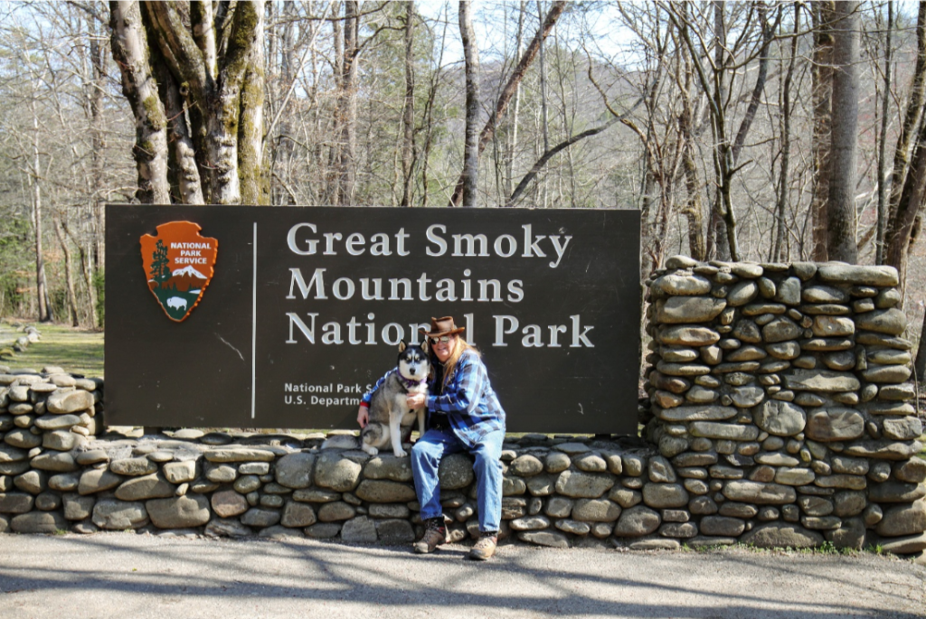 Paws on Board: Smart Tips for Planning a Vacation with Your Dog