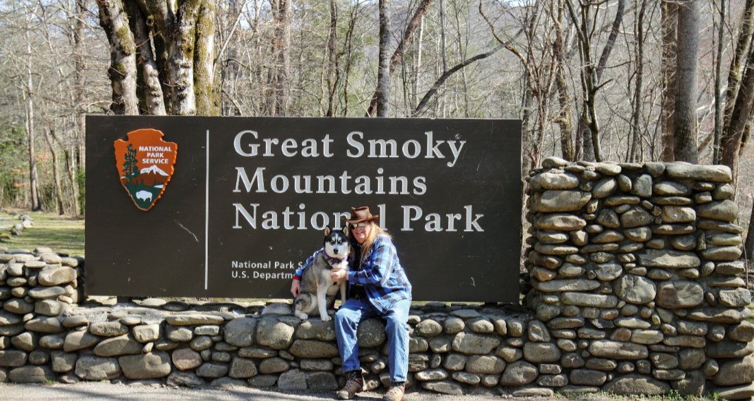 Paws on Board: Smart Tips for Planning a Vacation with Your Dog