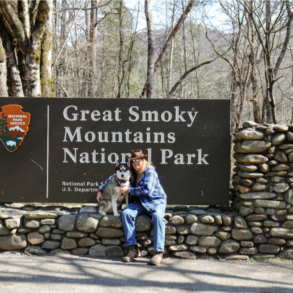 Paws on Board: Smart Tips for Planning a Vacation with Your Dog