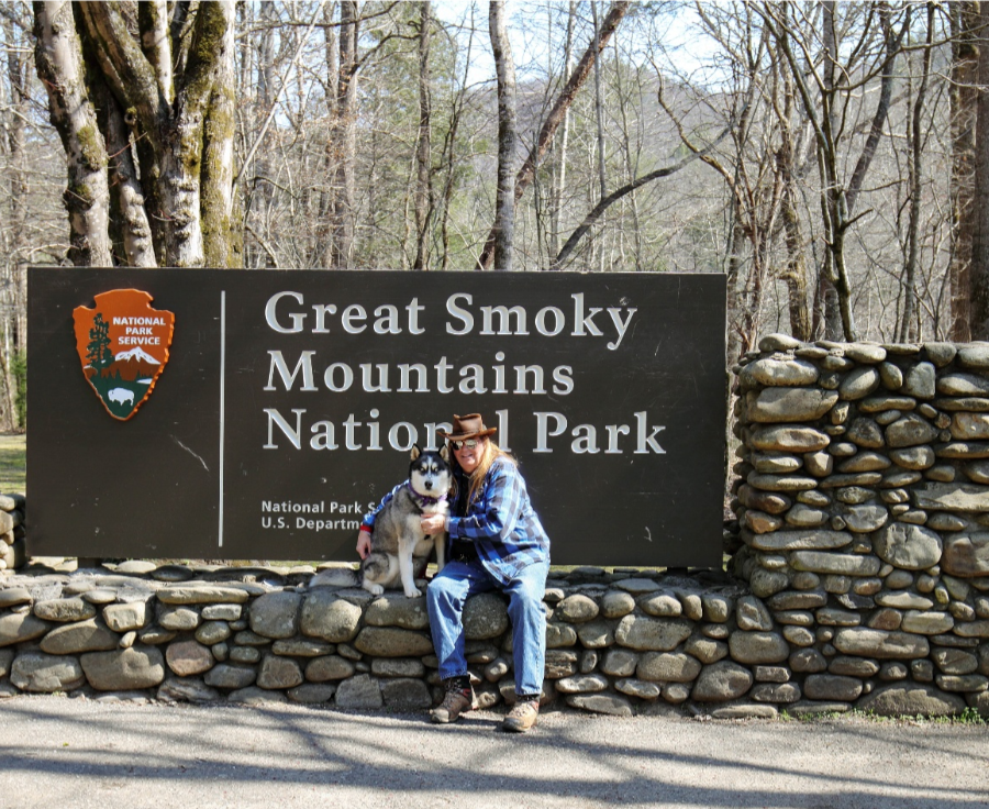 Paws on Board: Smart Tips for Planning a Vacation with Your Dog