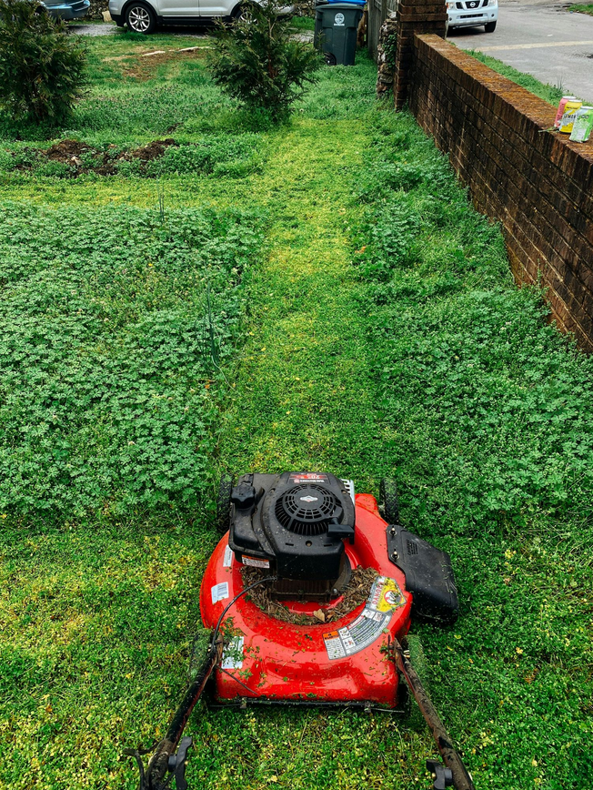 Taming the Wild Robotic Solutions for Rugged Lawns art-sheep.com2