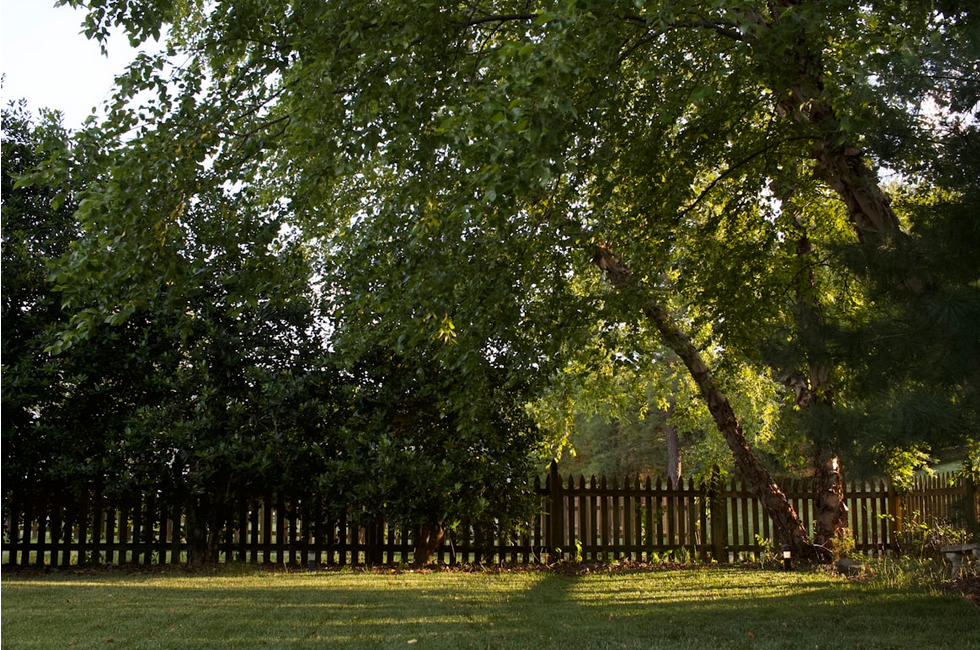Artistic Backyard Concepts for Modern Outdoor Living art-sheep.com 3