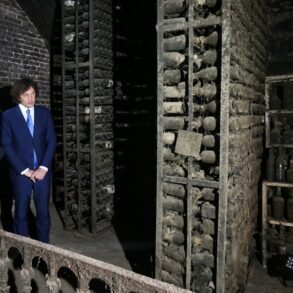 Red Terror, Red Wine Stalin’s 40,000-Bottle Collection Emerges from the Vault art-sheep.com