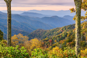 How to Plan a Smoky Mountains Rafting Day art-sheep.com