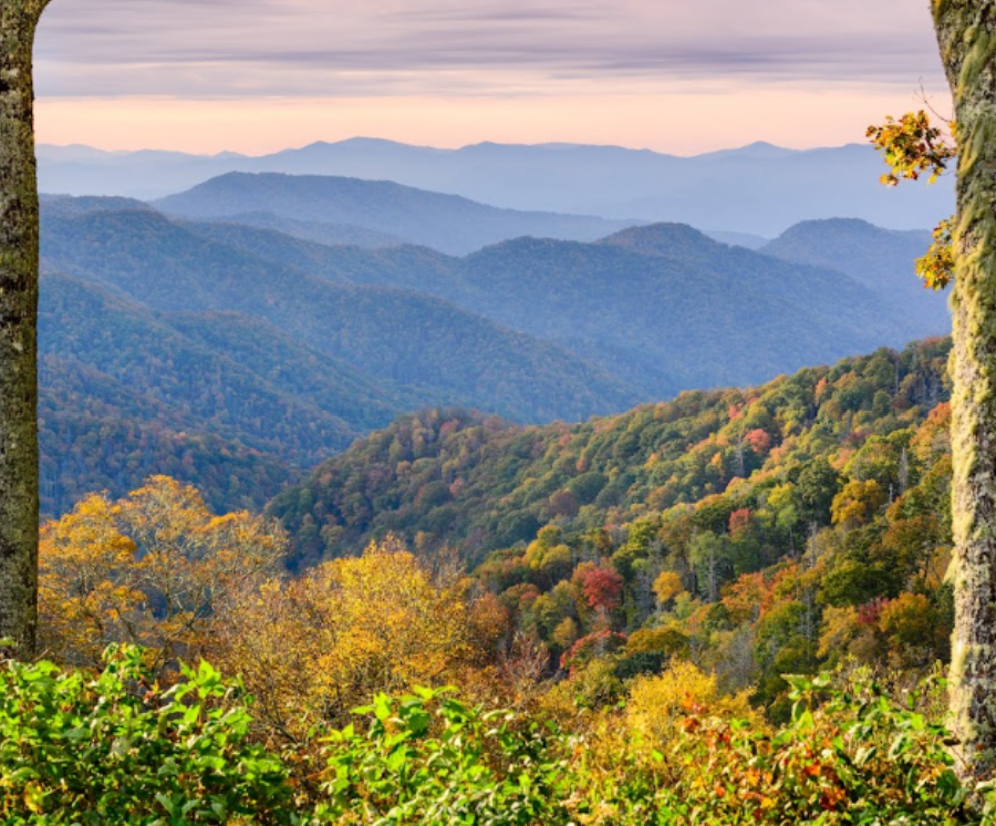 How to Plan a Smoky Mountains Rafting Day art-sheep.com