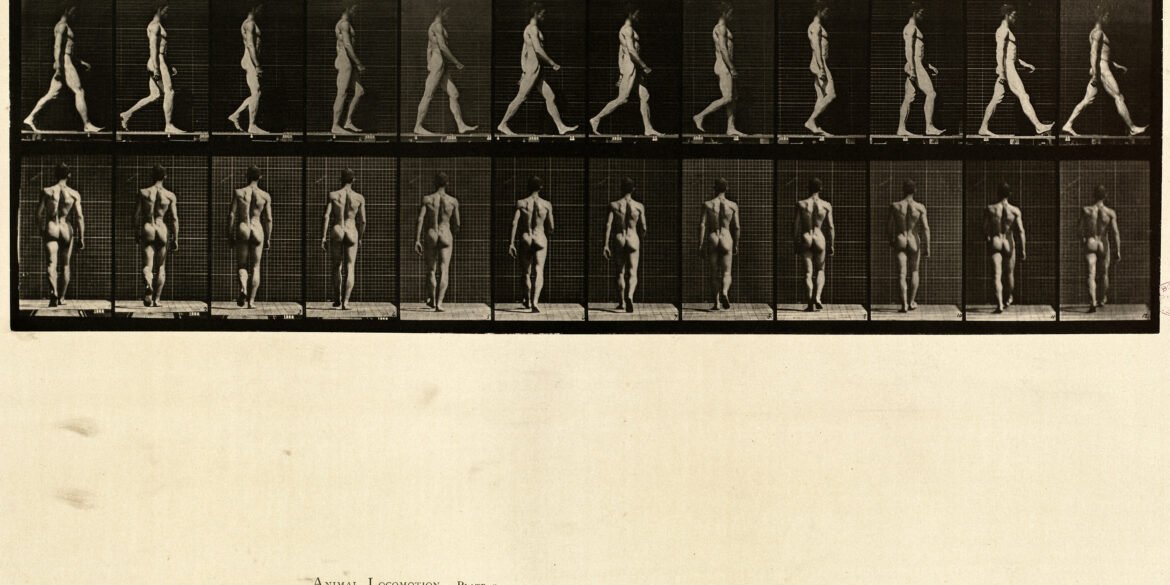 The Body as Architecture Why Nude Yoga Photography Still Holds the Eye art-sheep.com