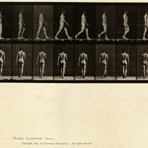 The Body as Architecture Why Nude Yoga Photography Still Holds the Eye art-sheep.com