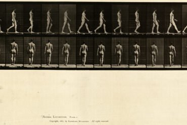 The Body as Architecture Why Nude Yoga Photography Still Holds the Eye art-sheep.com