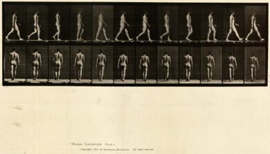 The Body as Architecture Why Nude Yoga Photography Still Holds the Eye art-sheep.com