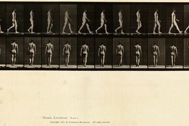 The Body as Architecture Why Nude Yoga Photography Still Holds the Eye art-sheep.com