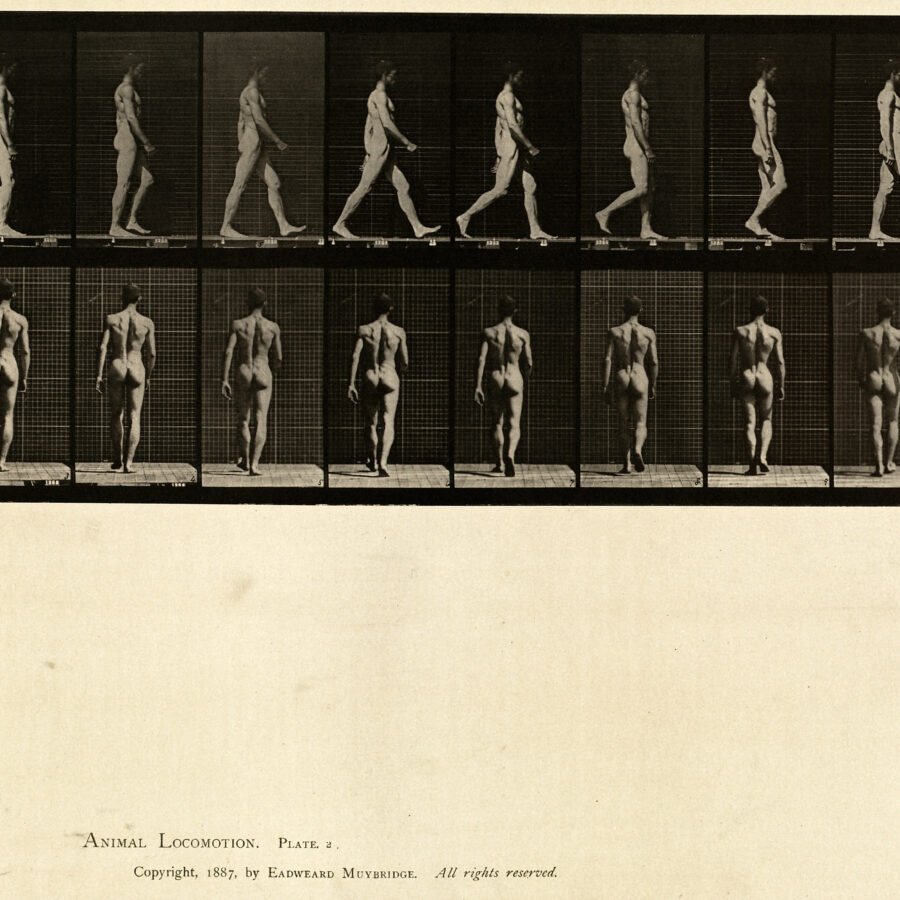 The Body as Architecture Why Nude Yoga Photography Still Holds the Eye art-sheep.com