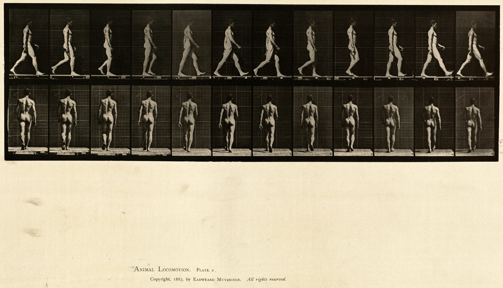 The Body as Architecture Why Nude Yoga Photography Still Holds the Eye art-sheep.com